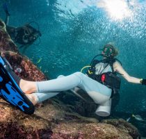 beautiful diver in fish and corals reef background