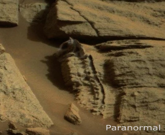 恐竜の先祖か 火星で コモドドラゴン似の化石 発見される まいじつ